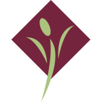 🌟 December is Seasonal Affective Disorder (SAD) Awareness Month 🌟